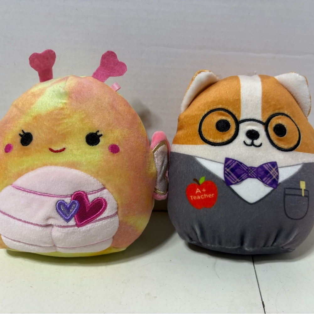 2 Mini Squishmallows “Balia the social Butterfly” & “Reginald the Corgi” teacher